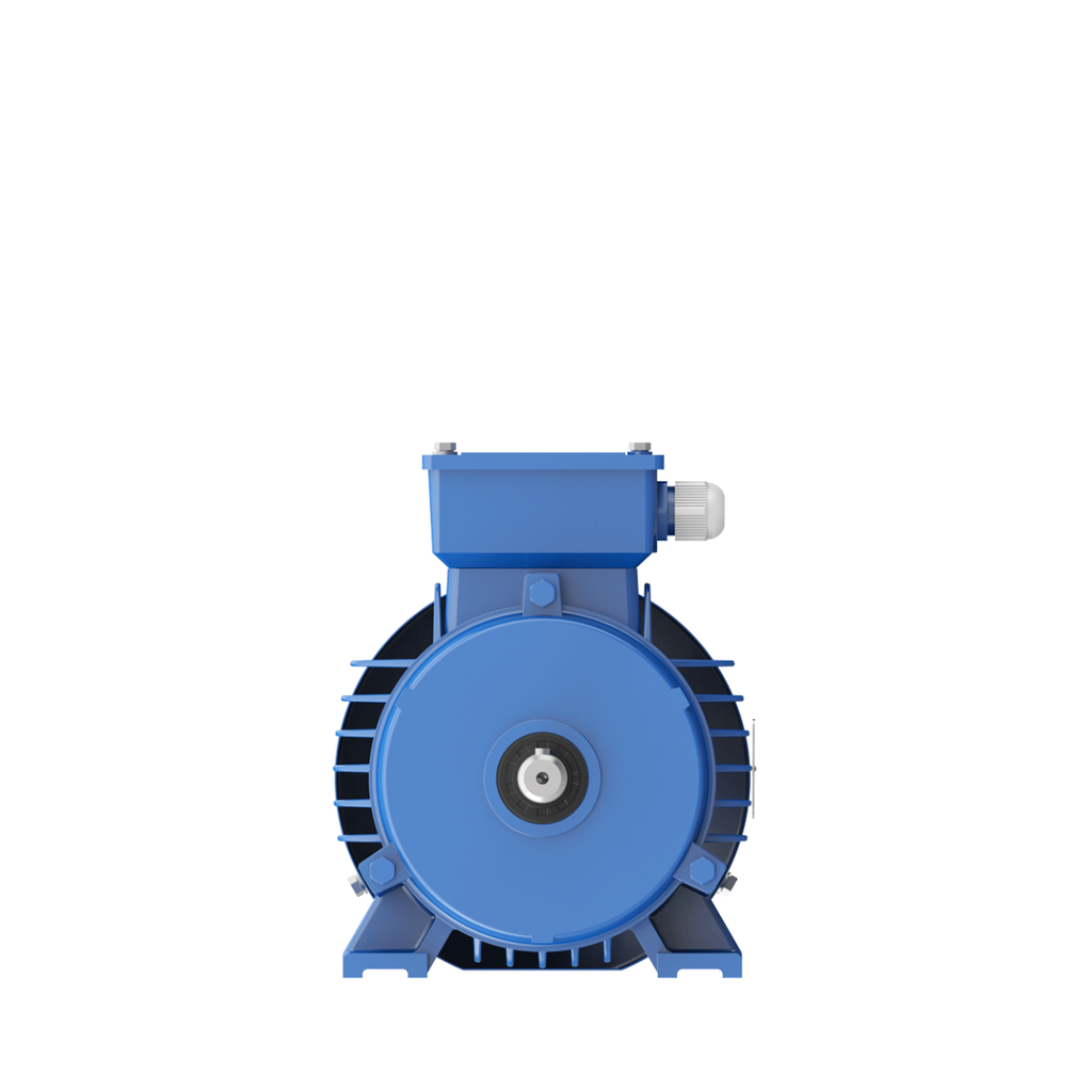 Motor Ronin Trifásico - Eficiencia: IE2 - Polos: 2 (3000 RPM) - Cuerpo de fundición de Hierro - 4 HP / 3 kW - Carcasa: 100L - B3 - Tensión: 220/380V,IP55,IEC60034