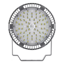 Galponera 100W Macroled frio