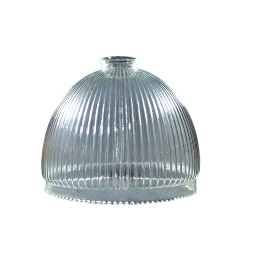 [LPA4212] CANELA 13 V/C