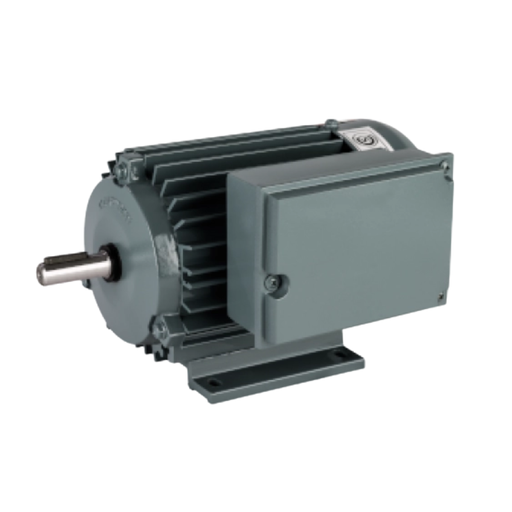 [CZE108650201] Motor monofásico BLINDADO BAJO PAR DE ARRANQUE 6 POLOS A80CP 6B 0,25KW 0,33CV