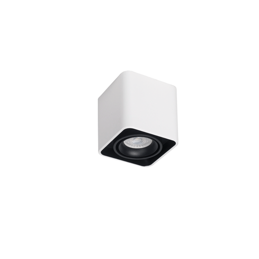 [DABToronto-1 Blanco] Plafon de 1L movil cardanico blanco